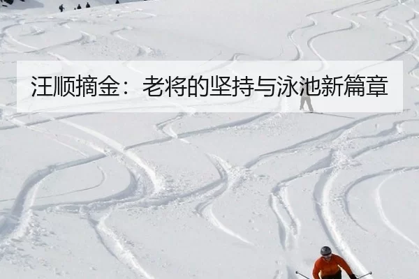 汪顺摘金：老将的坚持与泳池新篇章